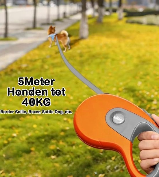 Uitschuifbare Hondenriem 5M (Tot 40KG) - Hondenlijn uittrekbaar - Automatische hondenriem - Rollijn - Anti-klit - Ergonomisch Handvat met Remsysteem - RVS Sluiting - Quick Lock Functie - oranje