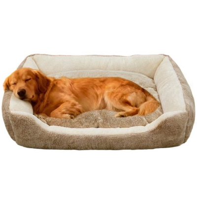 Honden